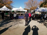 Pétanque