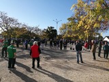 Pétanque