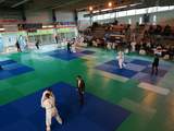 Judo