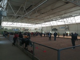Pétanque