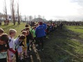 Cross saj zno