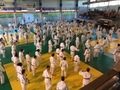 Img 0047