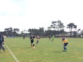 Img 4730
