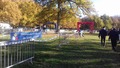 Cross%20zno